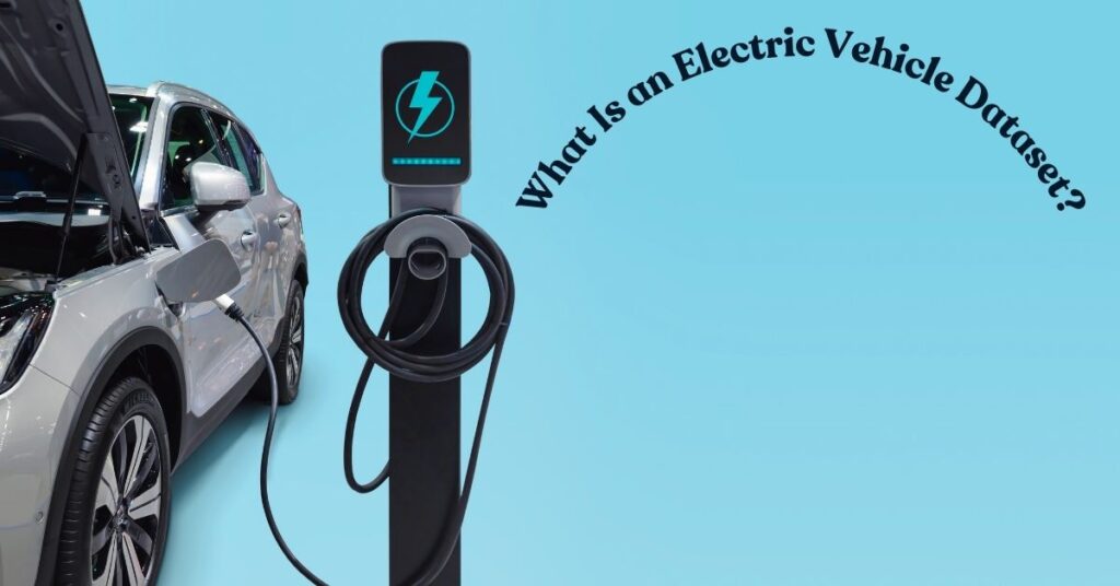 What Is an Electric Vehicle Dataset?